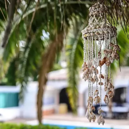 Elegant In With Private Pool וילה קורויוס