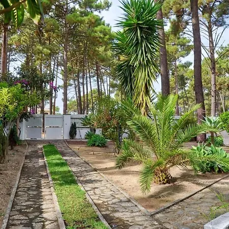 Elegant In With Private Pool וילה