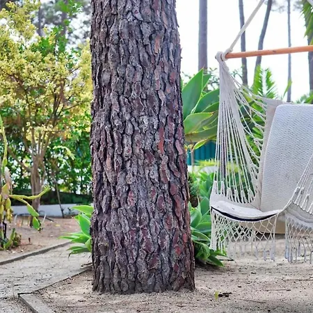 Elegant In With Private Pool